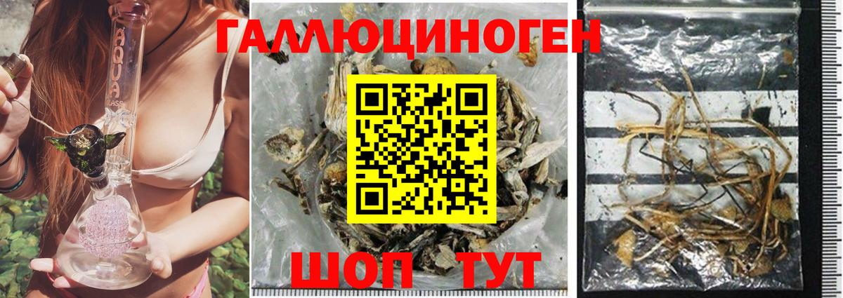 Фролово  Псилоцибиновые грибы мицелий  Вход с VPN 